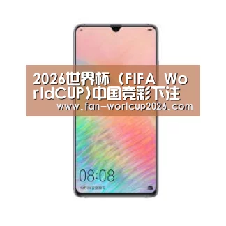 华为HUAWEI NOTE 8